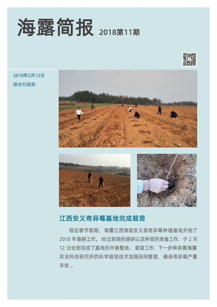 PA视讯(中国)集团官网 - PlayAce