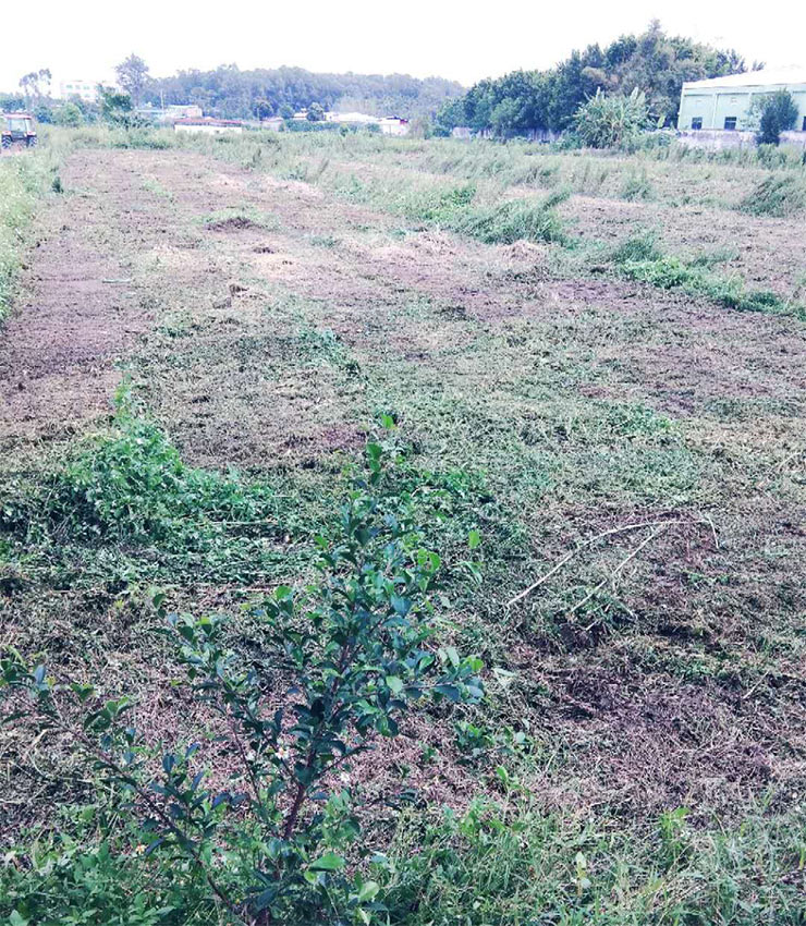 PA视讯(中国)集团官网 - PlayAce