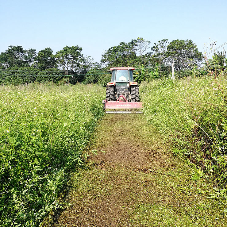 PA视讯(中国)集团官网 - PlayAce