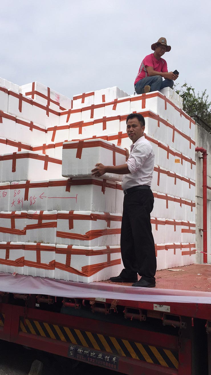 PA视讯(中国)集团官网 - PlayAce