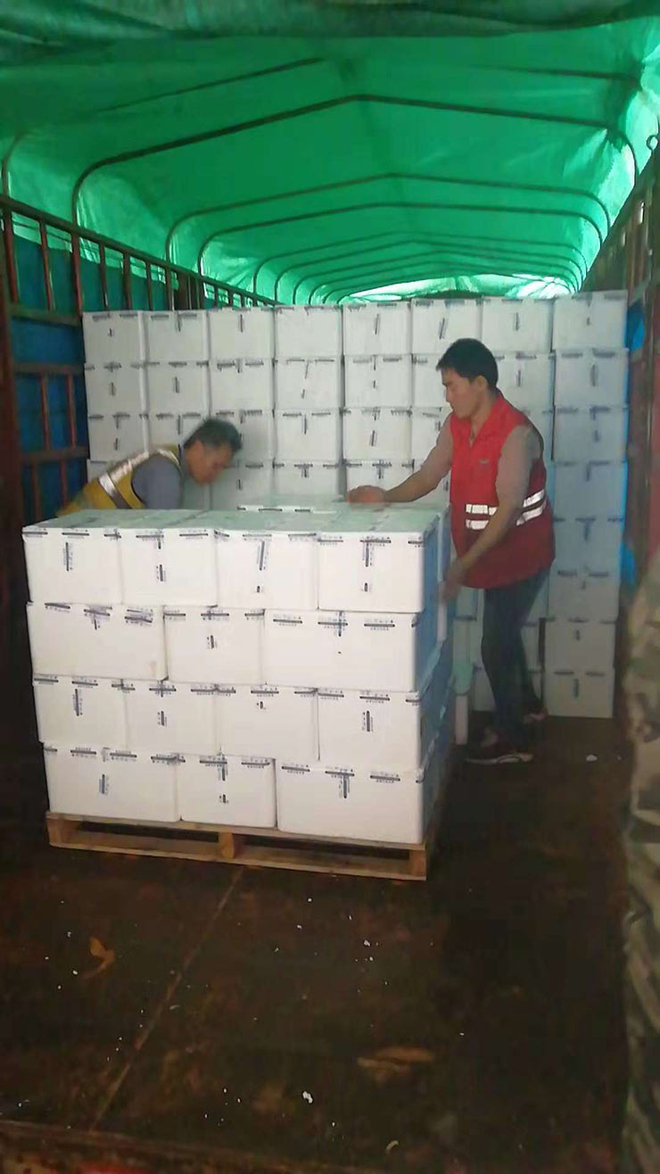 PA视讯(中国)集团官网 - PlayAce