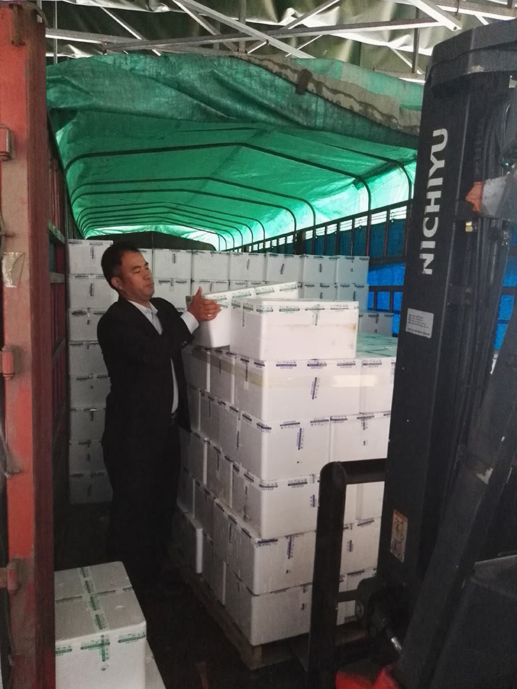 PA视讯(中国)集团官网 - PlayAce