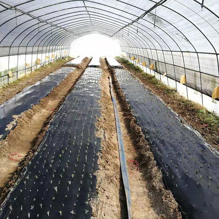 PA视讯(中国)集团官网 - PlayAce