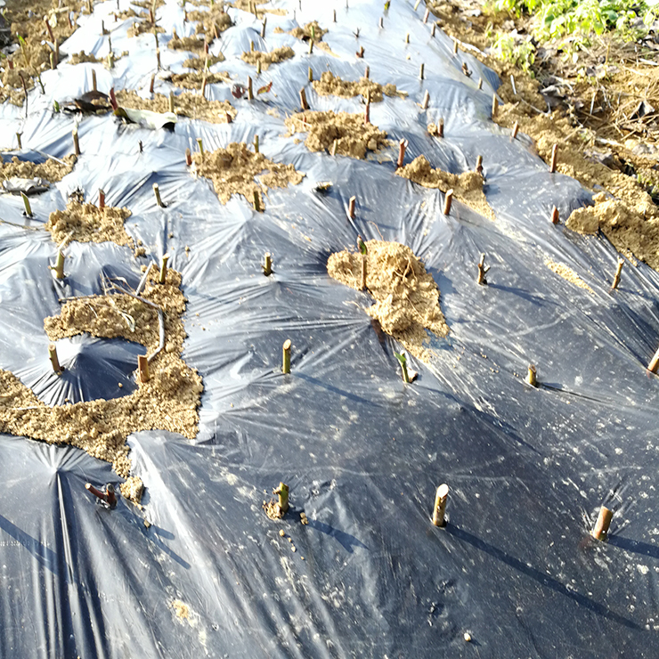 PA视讯(中国)集团官网 - PlayAce