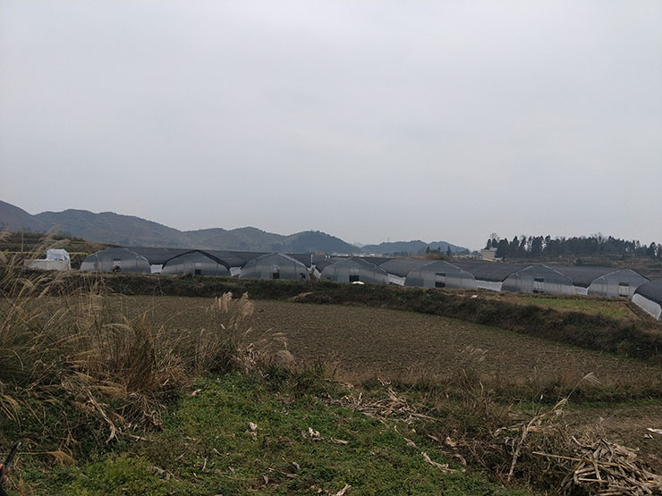 PA视讯(中国)集团官网 - PlayAce