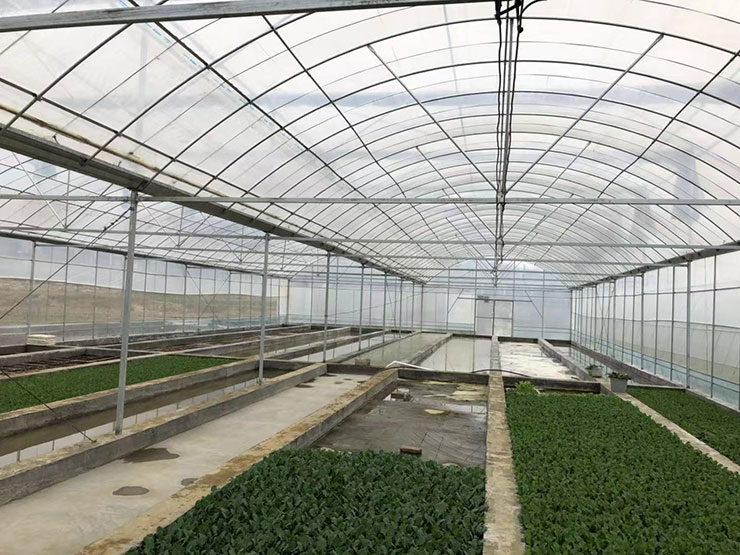 PA视讯(中国)集团官网 - PlayAce