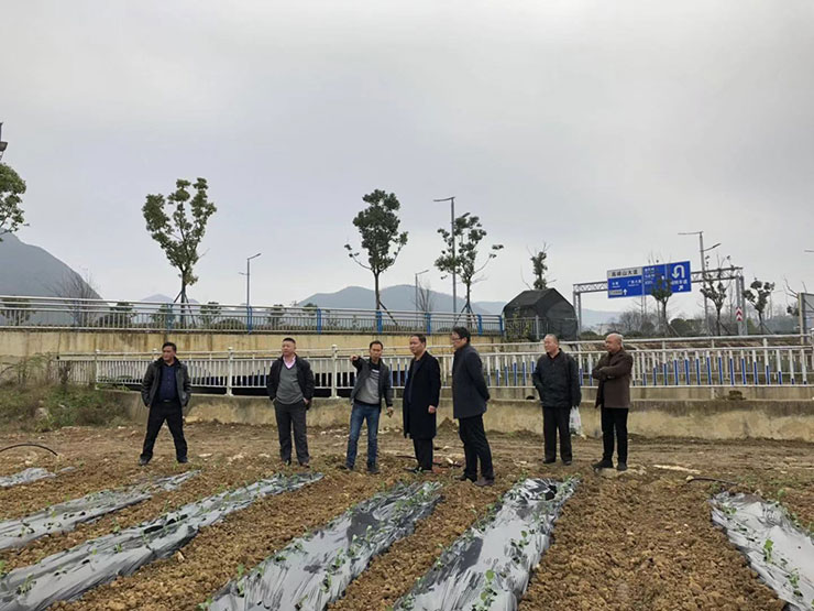 PA视讯(中国)集团官网 - PlayAce