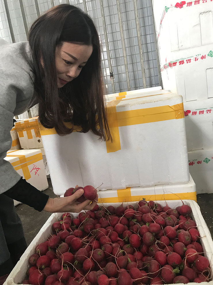 PA视讯(中国)集团官网 - PlayAce