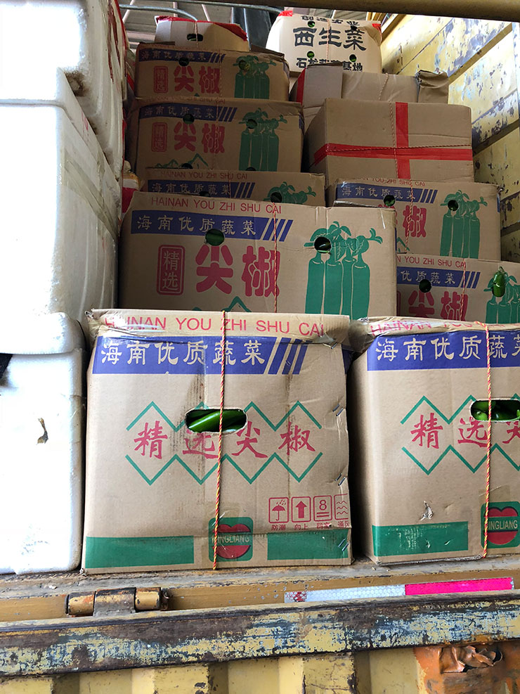 PA视讯(中国)集团官网 - PlayAce