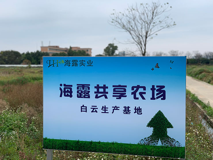 PA视讯(中国)集团官网 - PlayAce