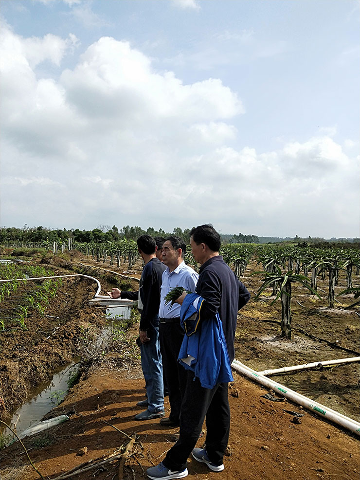 PA视讯(中国)集团官网 - PlayAce