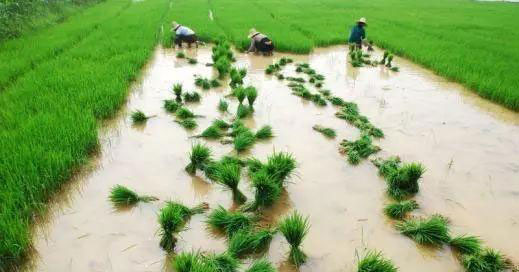 PA视讯(中国)集团官网 - PlayAce