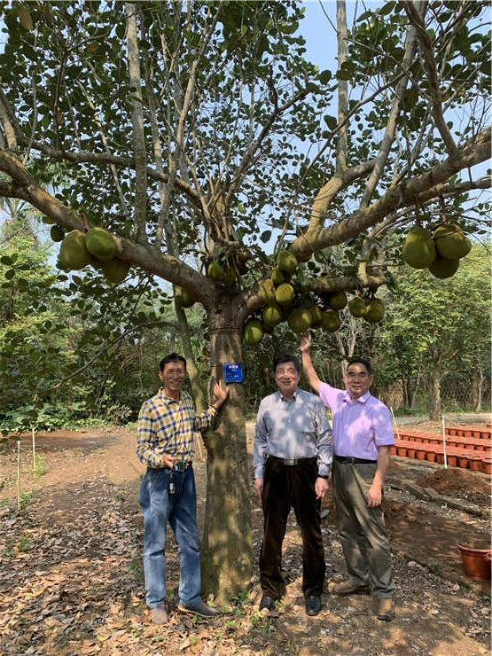 PA视讯(中国)集团官网 - PlayAce