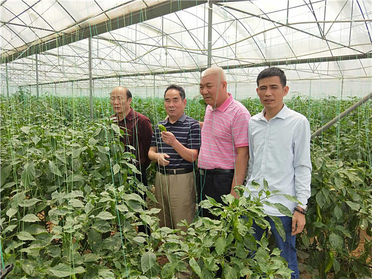 PA视讯(中国)集团官网 - PlayAce