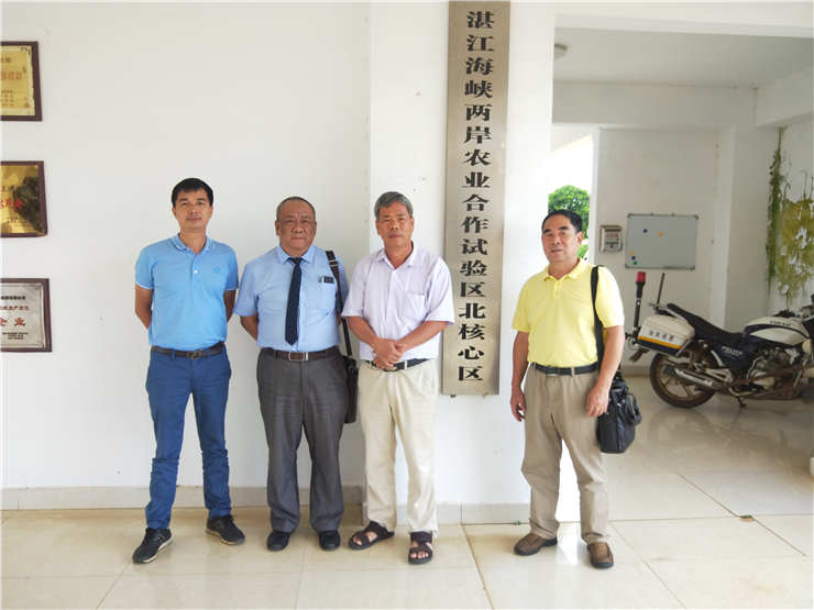 PA视讯(中国)集团官网 - PlayAce