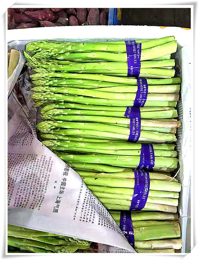 PA视讯(中国)集团官网 - PlayAce