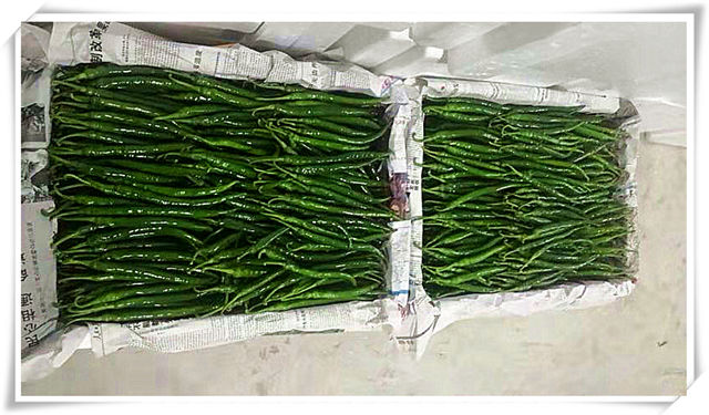 PA视讯(中国)集团官网 - PlayAce