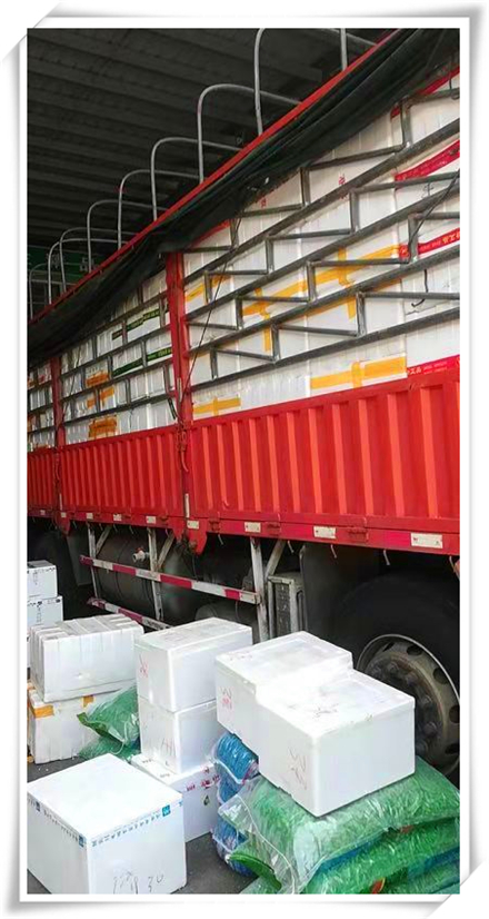 PA视讯(中国)集团官网 - PlayAce