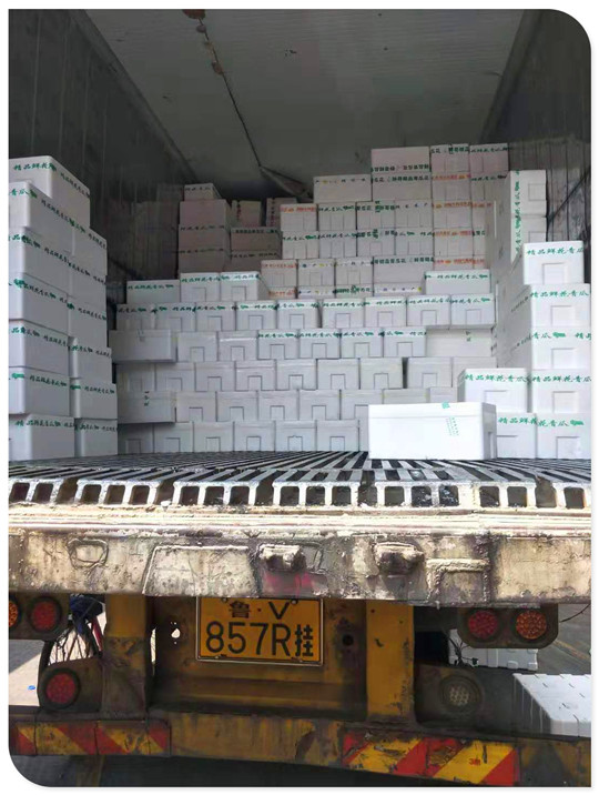 PA视讯(中国)集团官网 - PlayAce