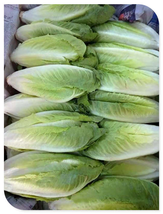 PA视讯(中国)集团官网 - PlayAce