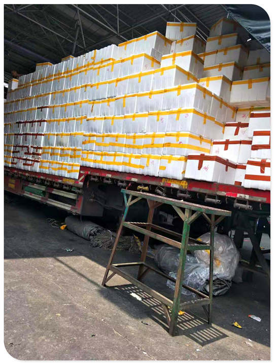 PA视讯(中国)集团官网 - PlayAce