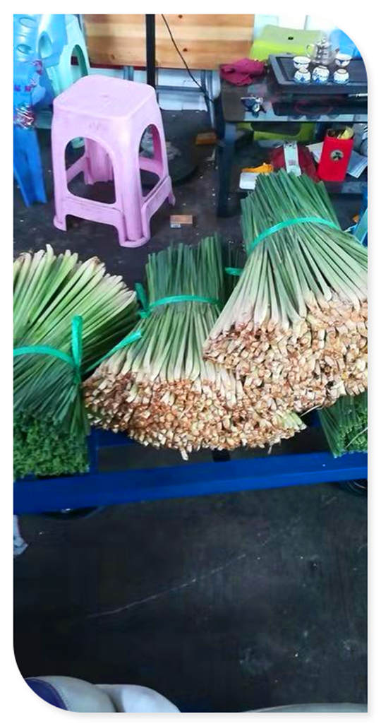 PA视讯(中国)集团官网 - PlayAce