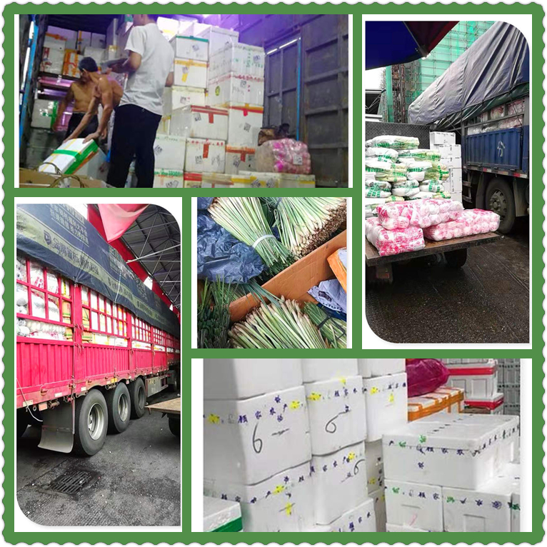 PA视讯(中国)集团官网 - PlayAce