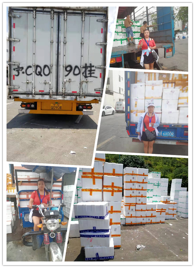 PA视讯(中国)集团官网 - PlayAce