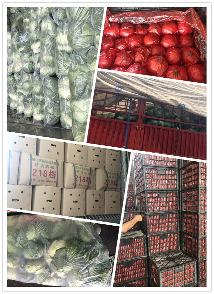 PA视讯(中国)集团官网 - PlayAce