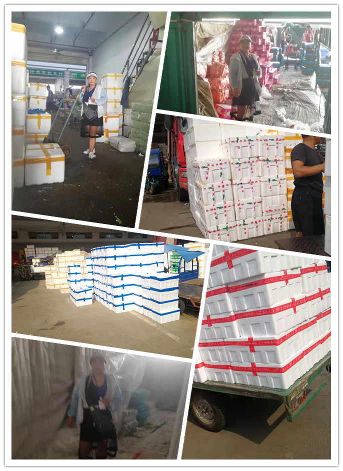 PA视讯(中国)集团官网 - PlayAce