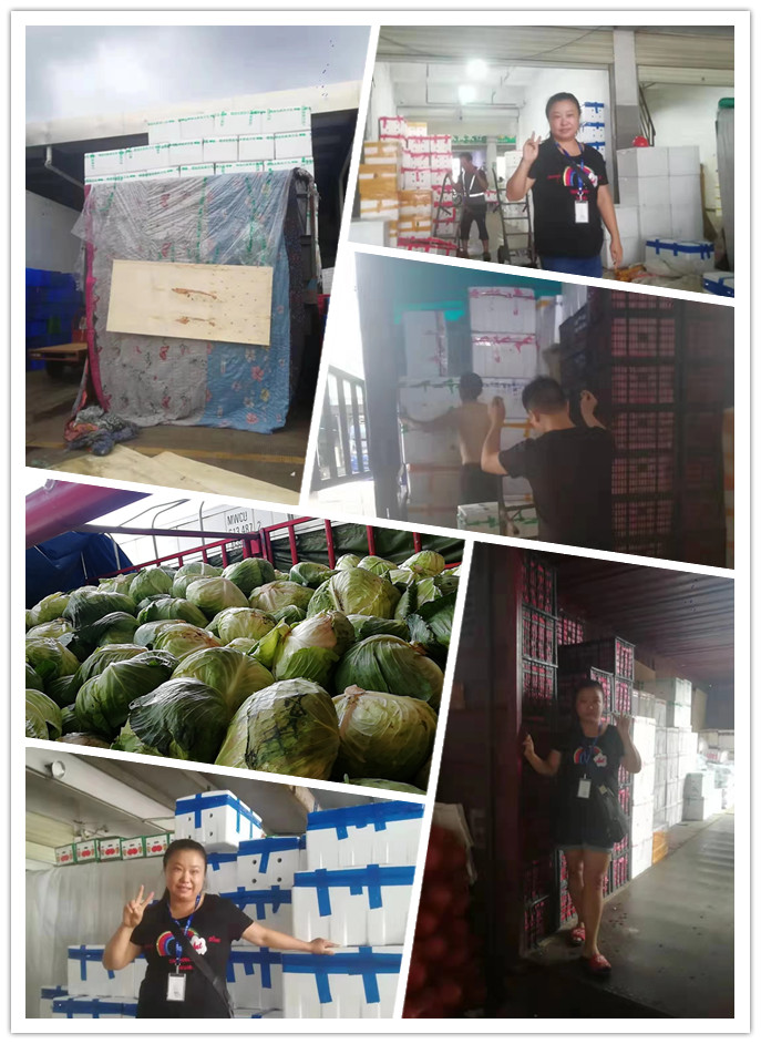 PA视讯(中国)集团官网 - PlayAce