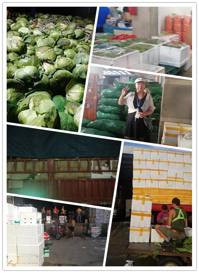 PA视讯(中国)集团官网 - PlayAce