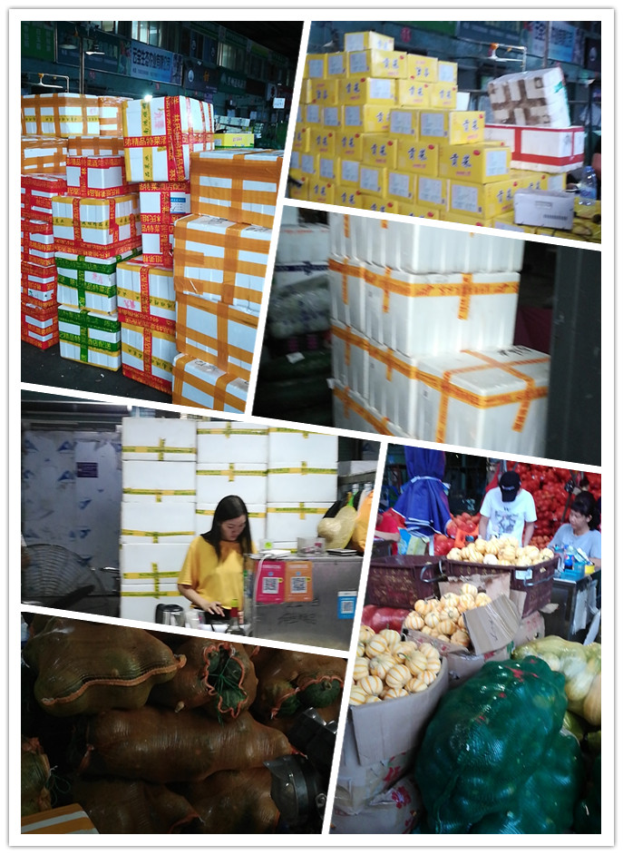 PA视讯(中国)集团官网 - PlayAce