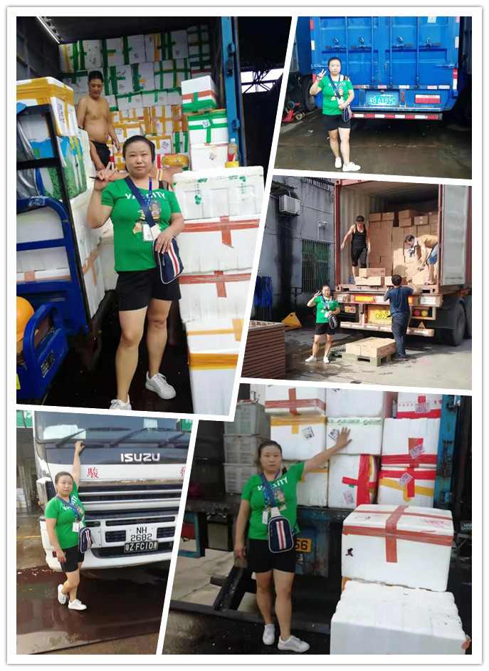 PA视讯(中国)集团官网 - PlayAce