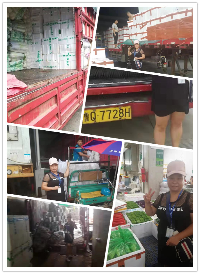 PA视讯(中国)集团官网 - PlayAce