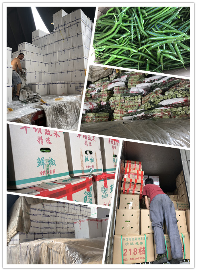 PA视讯(中国)集团官网 - PlayAce