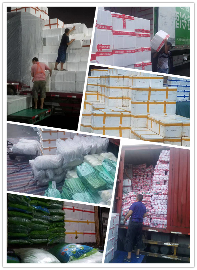 PA视讯(中国)集团官网 - PlayAce