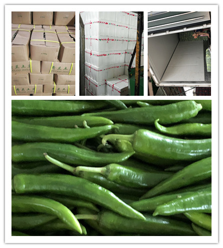 PA视讯(中国)集团官网 - PlayAce