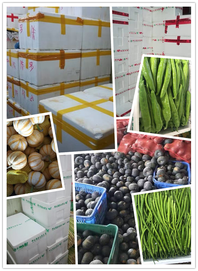 PA视讯(中国)集团官网 - PlayAce