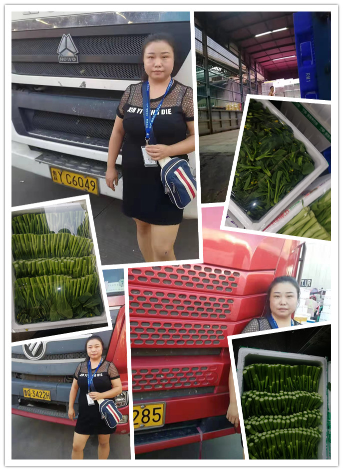 PA视讯(中国)集团官网 - PlayAce