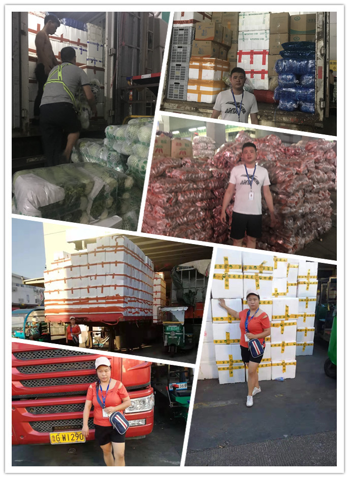 PA视讯(中国)集团官网 - PlayAce