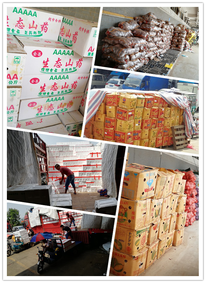 PA视讯(中国)集团官网 - PlayAce