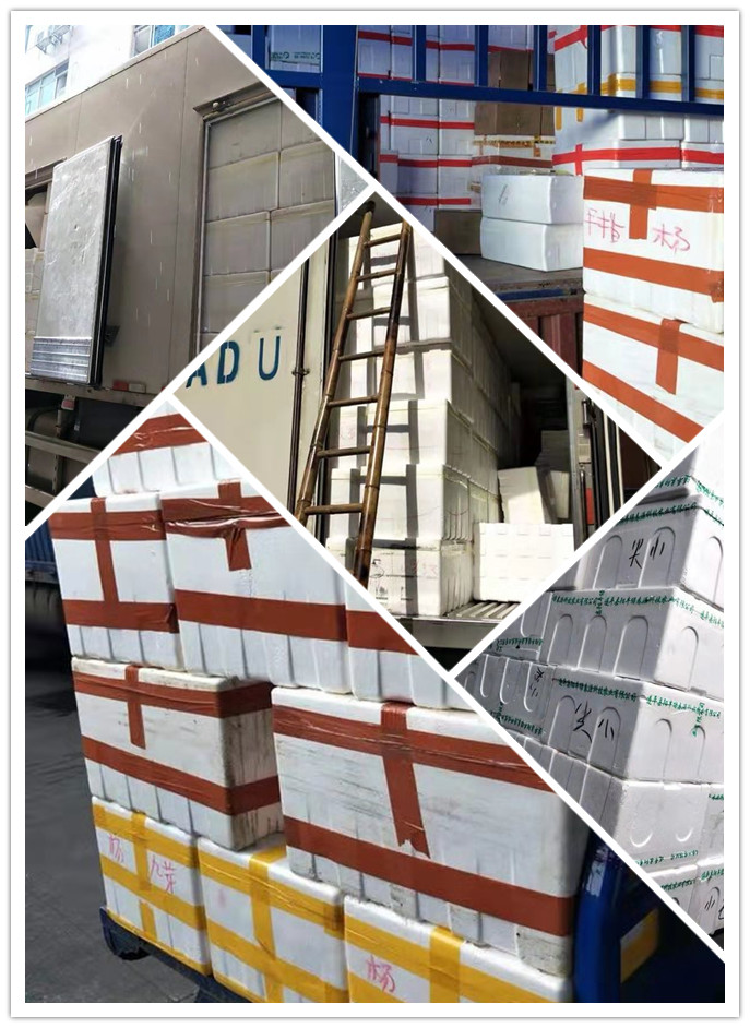 PA视讯(中国)集团官网 - PlayAce