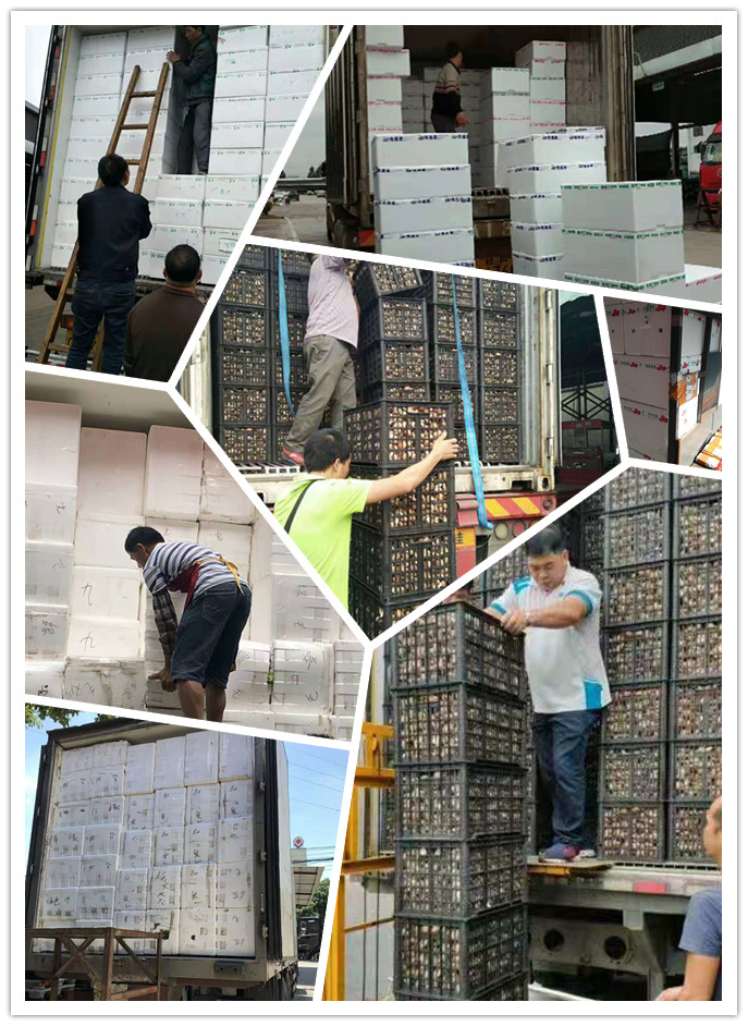 PA视讯(中国)集团官网 - PlayAce