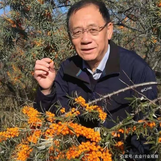 PA视讯(中国)集团官网 - PlayAce