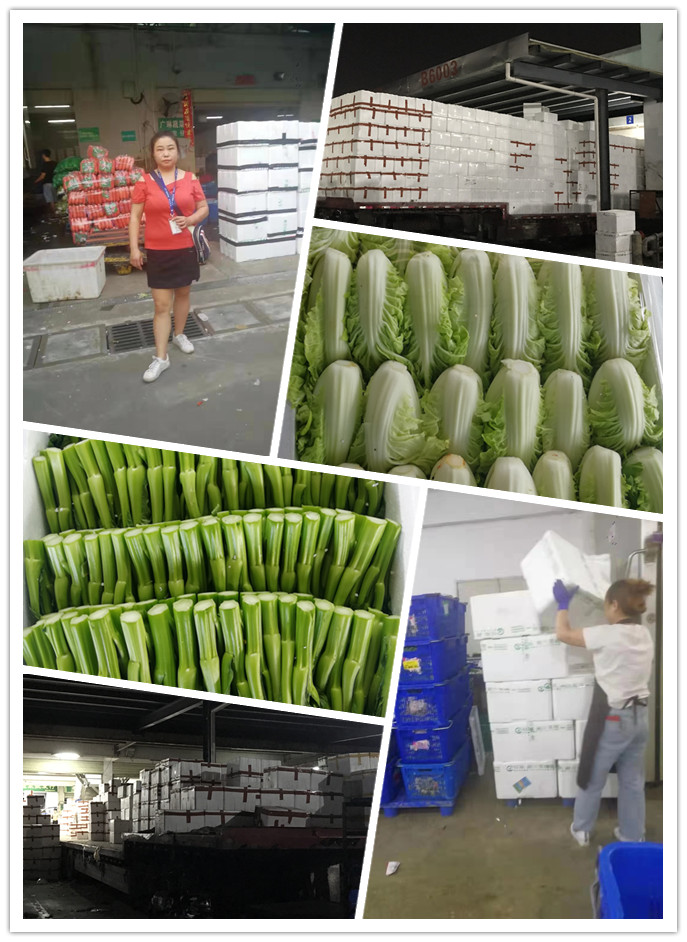 PA视讯(中国)集团官网 - PlayAce