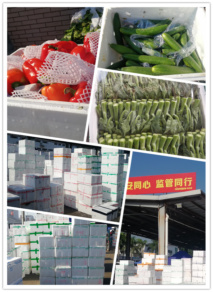 PA视讯(中国)集团官网 - PlayAce