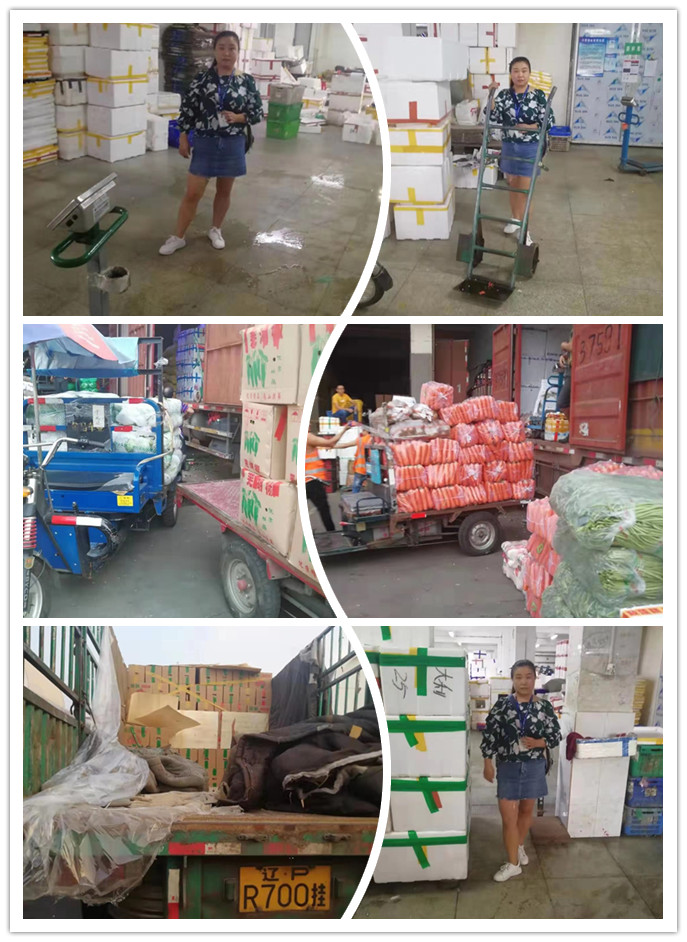 PA视讯(中国)集团官网 - PlayAce