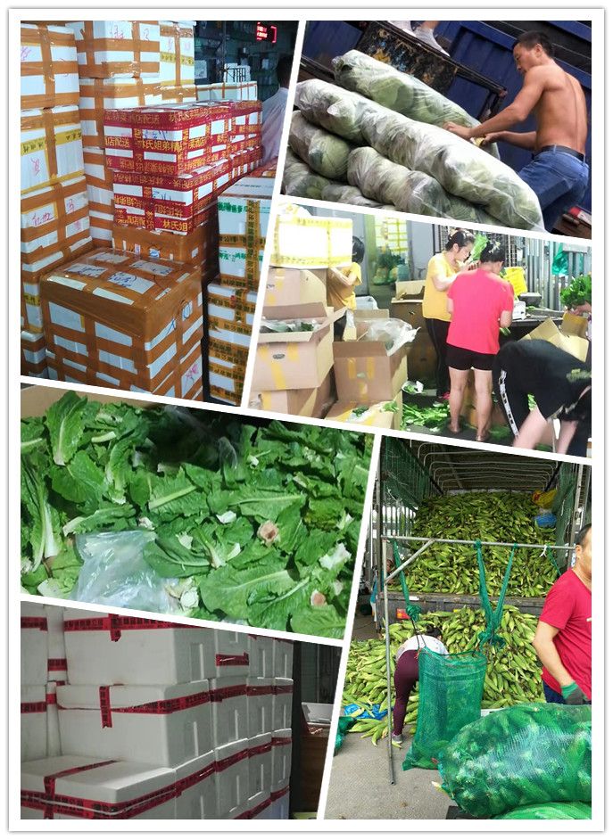 PA视讯(中国)集团官网 - PlayAce