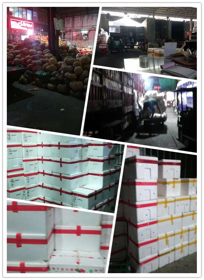 PA视讯(中国)集团官网 - PlayAce